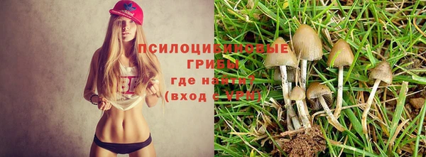 ALPHA-PVP Кукмор