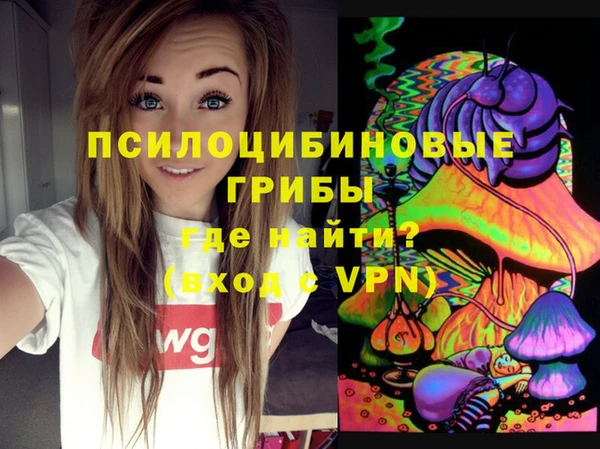 хмурый Куйбышев